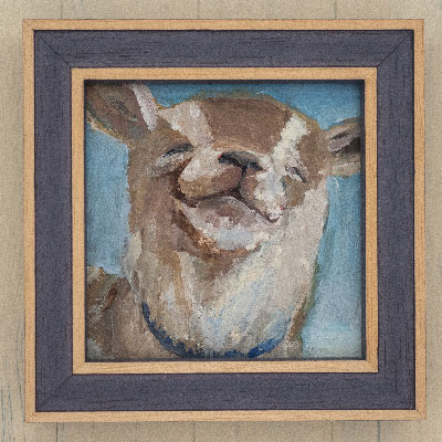 ¥1,650	